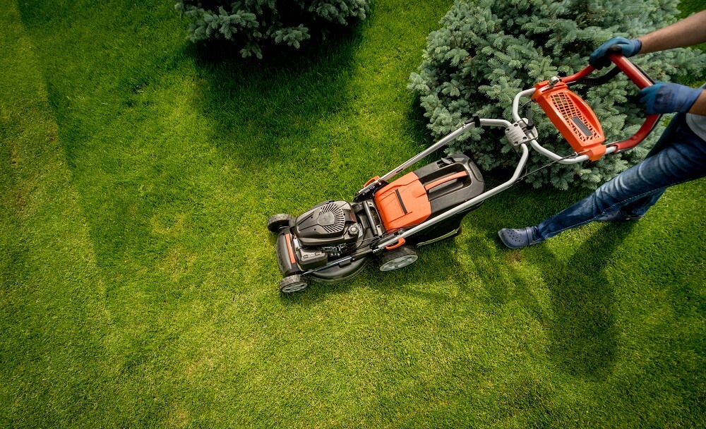guy mowing lawn
